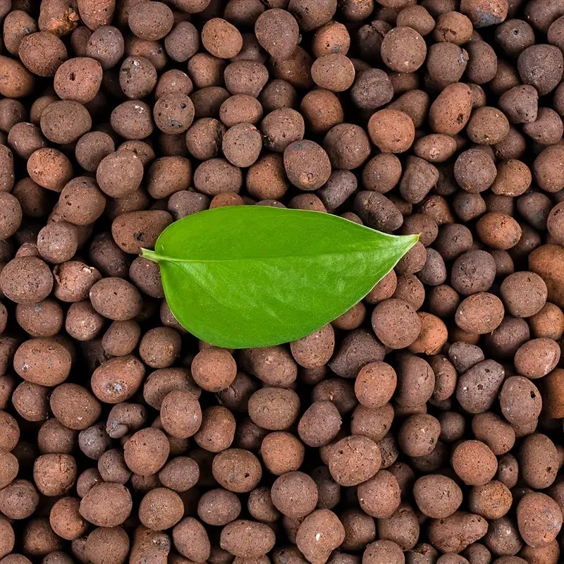 1LB Reusable Hydroponic Clay P - Clay Pebble Growing 评论和价格