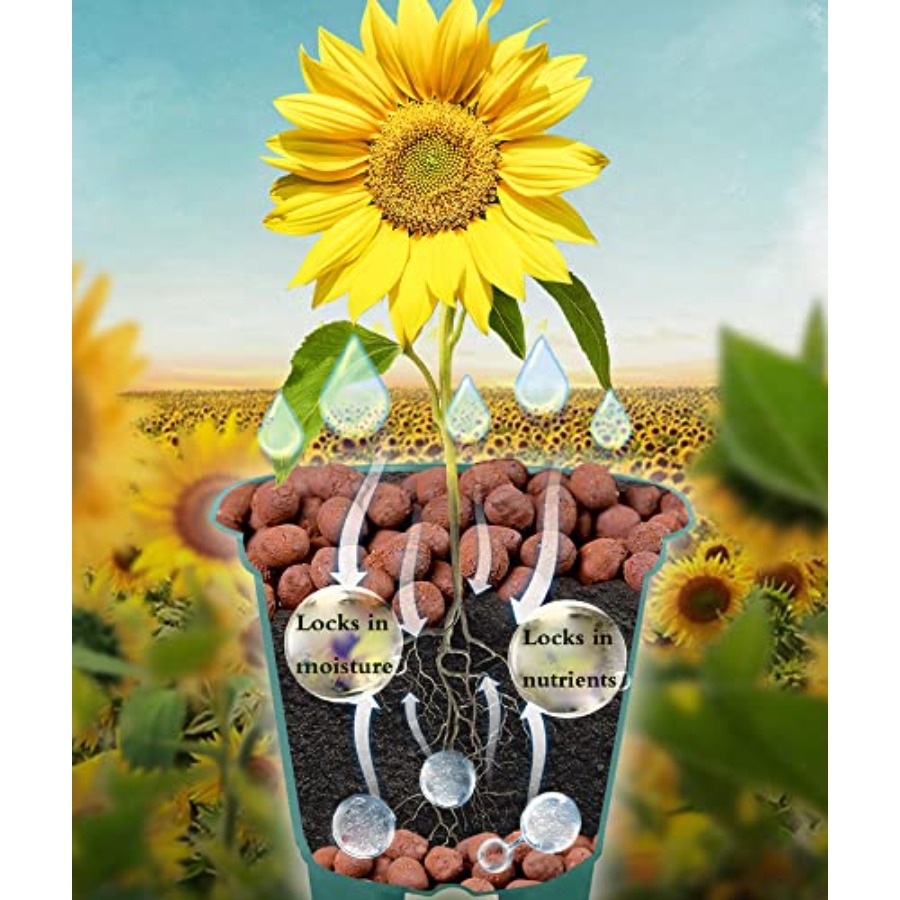 Voulosimi Clay Pebbles Hydropo - Clay Pebble Growing 评论和价格