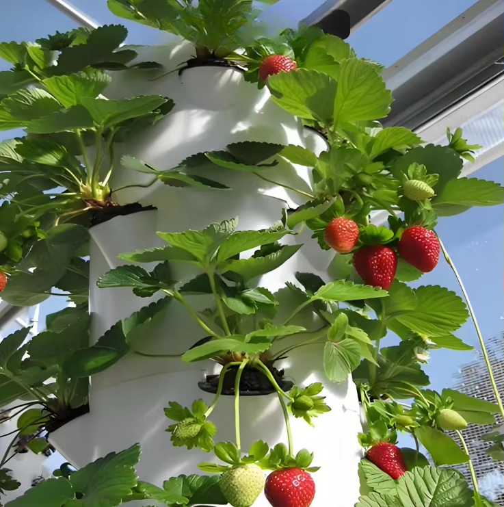Modular hydroponic growth wall - Urban Farming Gardening 评论和价格