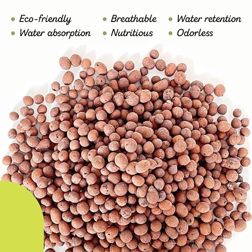 US Shipping Expanded Clay Pebb - Clay Pebble Growing 评论和价格
