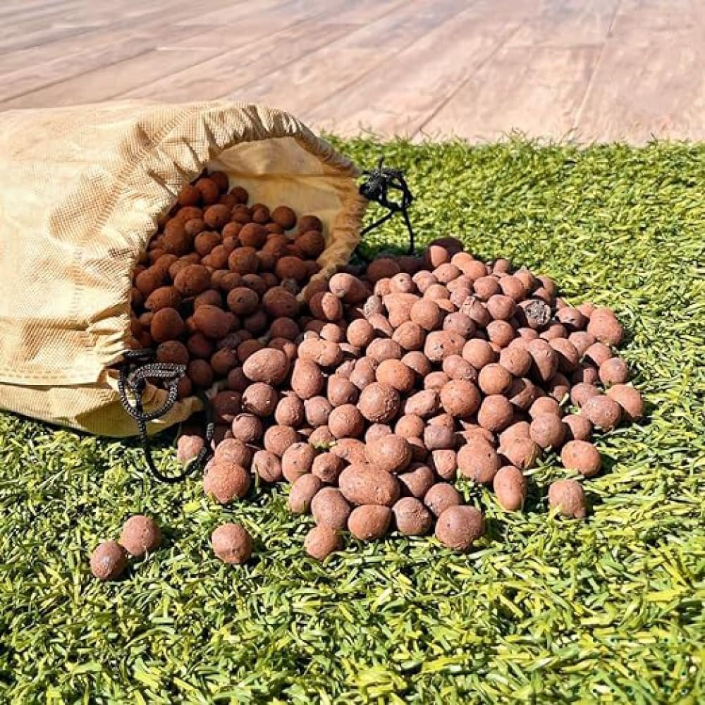 US Shipping Expanded Clay Pebb - Clay Pebble Growing 评论和价格