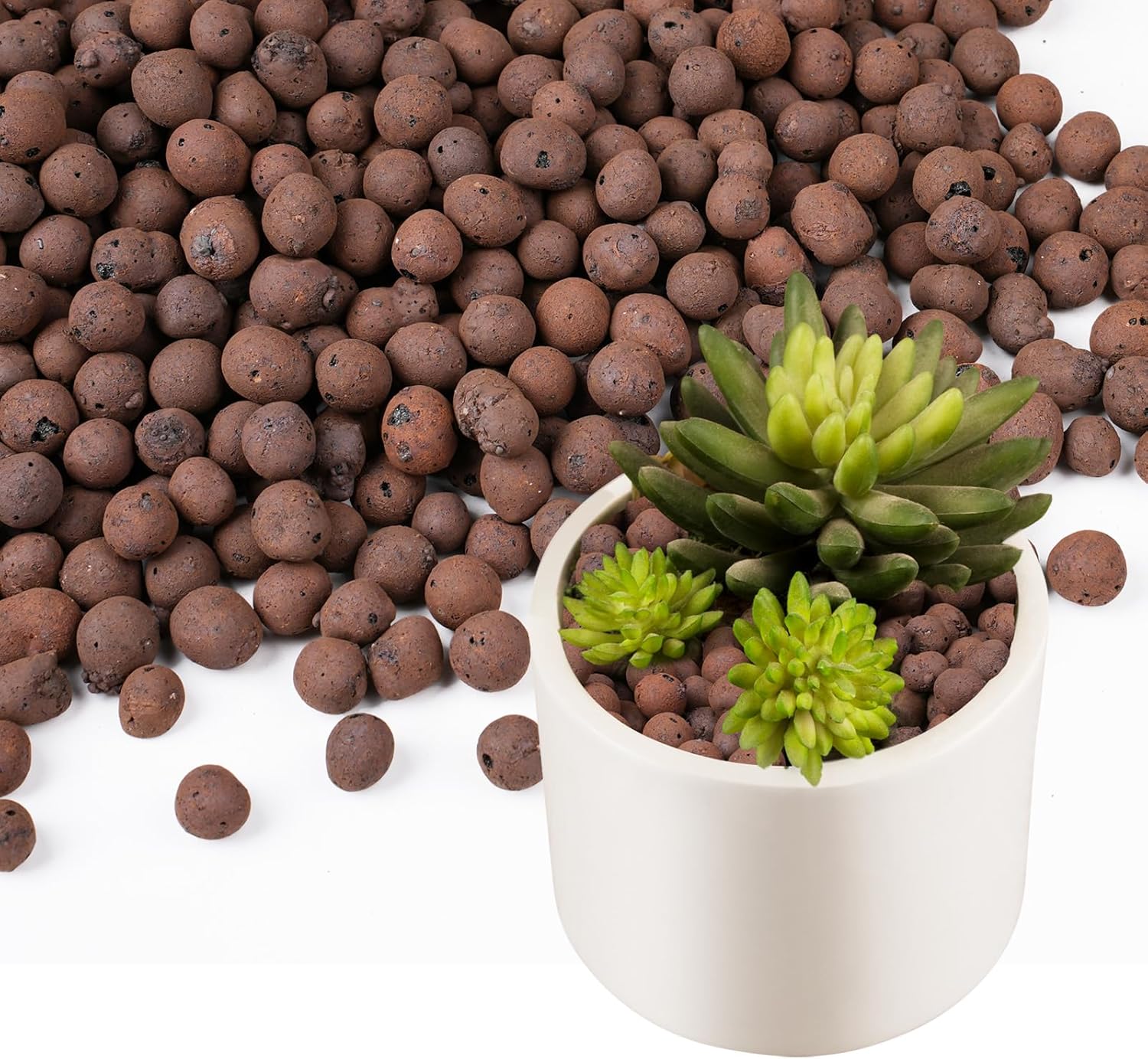 100/200G Clay Pebbles for Plan - Clay Pebble Growing 评论和价格
