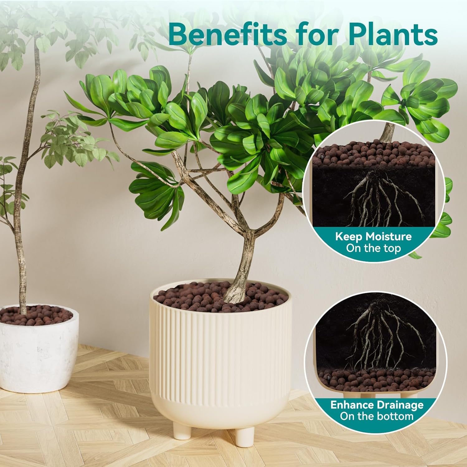 100/200G Clay Pebbles for Plan - Clay Pebble Growing 评论和价格
