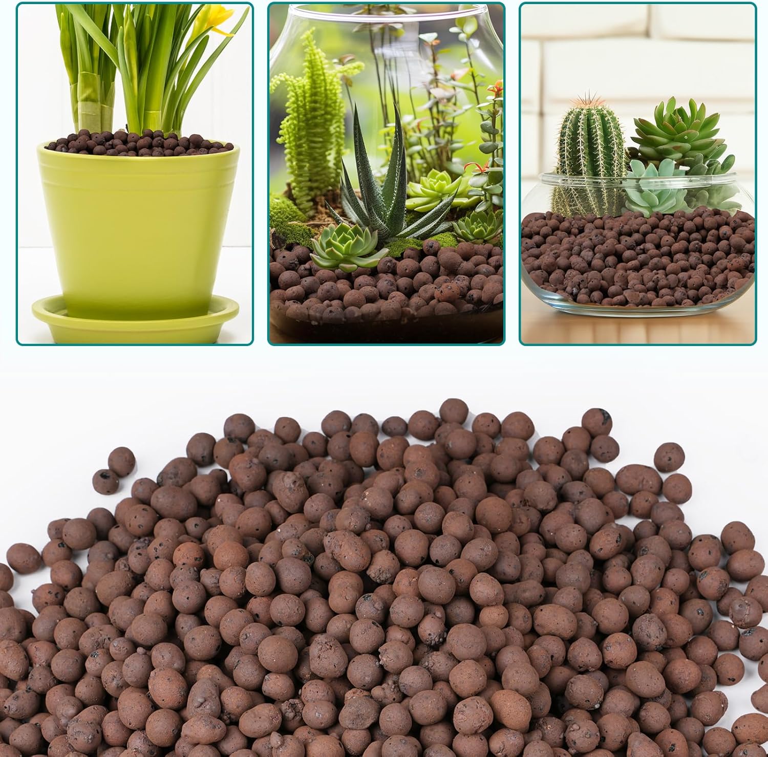 100/200G Clay Pebbles for Plan - Clay Pebble Growing 评论和价格