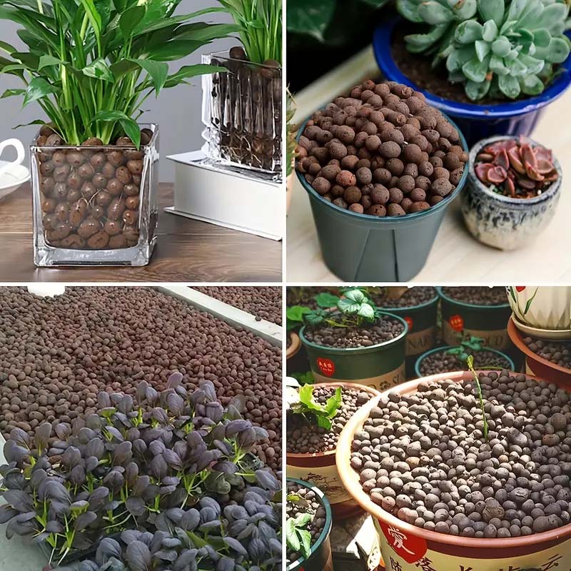 100/200G Clay Pebbles for Plan - Clay Pebble Growing 评论和价格