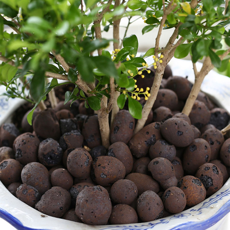 500g Organic light ceramsite C - Clay Pebble Growing 评论和价格