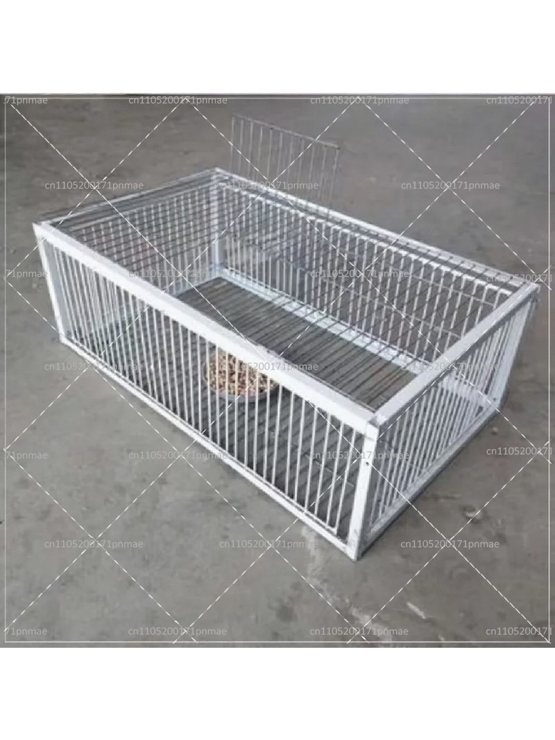 Professional Multifunctional B - Urban Farming Gardening 评论和价格