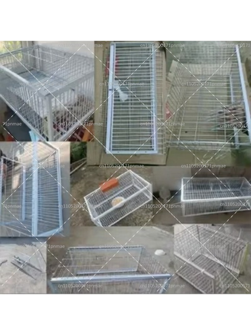 Professional Multifunctional B - Urban Farming Gardening 评论和价格