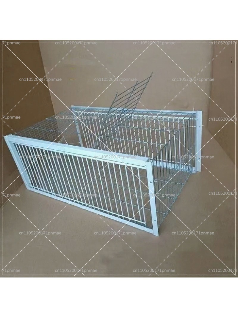 Professional Multifunctional B - Urban Farming Gardening 评论和价格